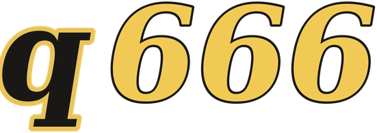 q666 logo